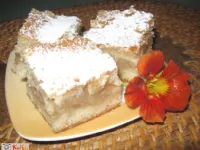 Fotografija recepta: Biskvitne jabolčne rezine