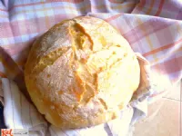 Fotografija recepta: Kruh brez gnetenja