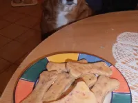 Fotografija recepta: Žakove kostke ali pasji piškotki