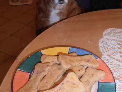 Žakove kostke ali pasji piškotki