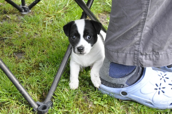 barques_031_595 barques_031_595