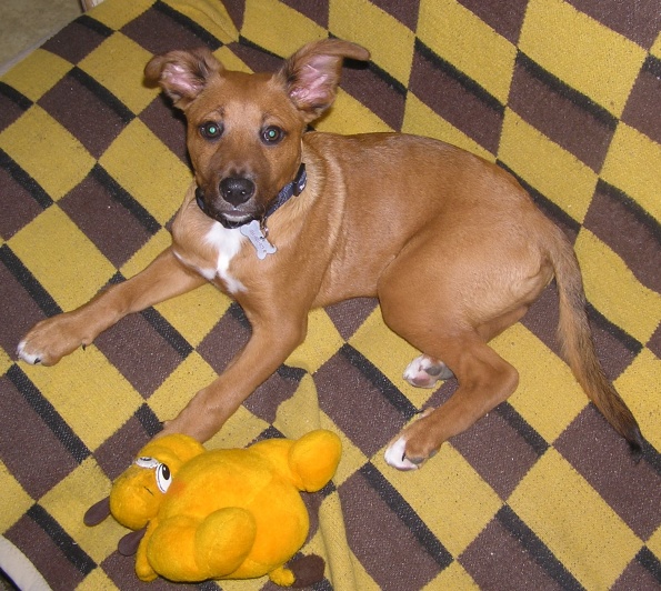 saja_3_595 saja_3_595