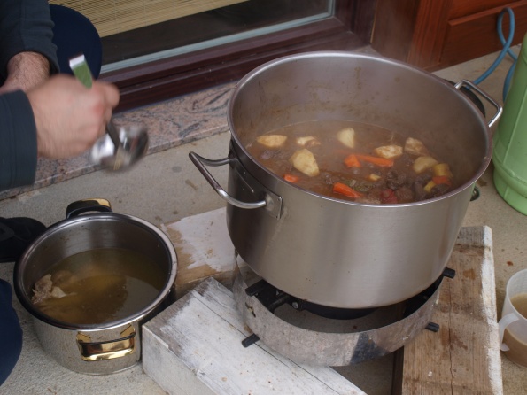 picture_2391_595 picture_2391_595