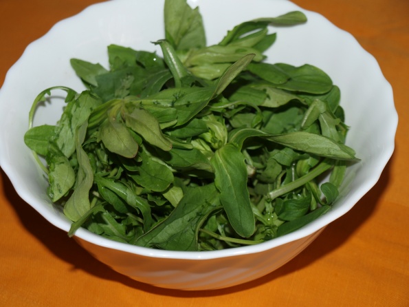 picture_4546_595 picture_4546_595