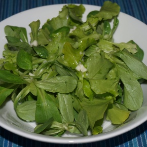 picture_4649_290 picture_4649_290