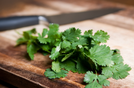 koriander.jpg