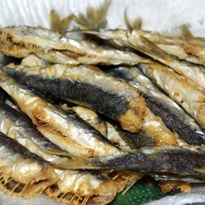 sardele_290