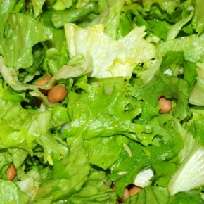 solata_290_01 solata_290_01