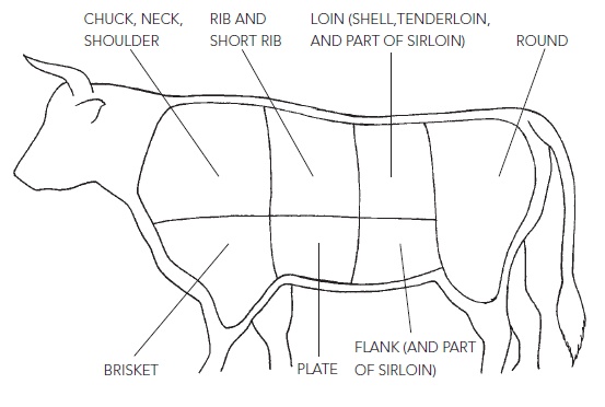 major_parts_of_beef
