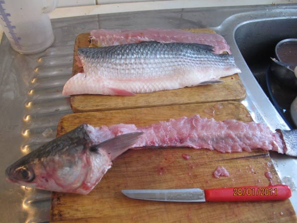 img_8186_595 img_8186_595