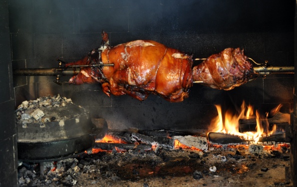 pujsek_595 pujsek_595