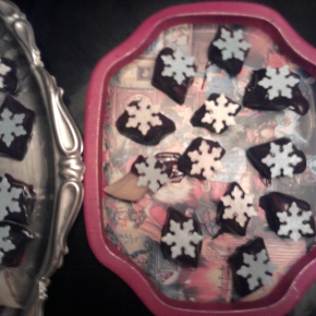 fotografija0155_2_290