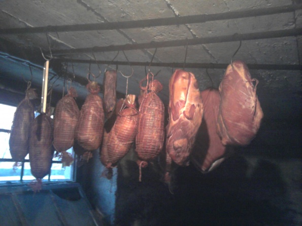 fotografija0198_2_595