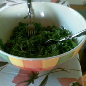 10102010001_290 10102010001_290